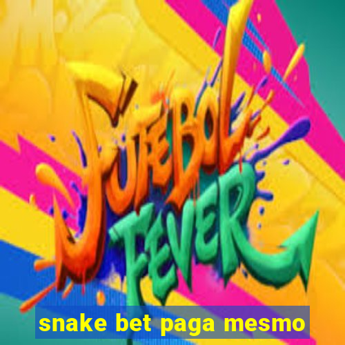 snake bet paga mesmo